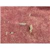 Image 10 : Antique Hawaiian Kapa Moe (5 Sheets, Complete), Pink & Red 102" x 90" (Appraisal Value $2,000)