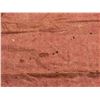 Image 7 : Antique Hawaiian Kapa Moe (5 Sheets, Complete), Pink & Red 102" x 90" (Appraisal Value $2,000)