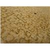 Image 8 : Antique Hawaiian Kapa, Single Sheet (possibly pa'u), Yellow 113" x 40" (Appraisal Value $2,500)