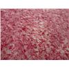 Image 8 : Antique Hawaiian Kapa Moe (5 Sheets, Complete), Natural & Red 107" x 81" (Appraisal Value $3,500)