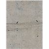 Image 8 : Antique Hawaiian Kapa, Single Sheet (iho), Natural Color 66" x 45" (Appraisal Value $500)