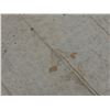 Image 8 : Antique Hawaiian Kapa, Single Sheet (iho), Natural Color 101" x 76" (Appraisal Value $500)