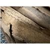 Image 5 : Antique Hawaiian Kapa Moe (5 Sheets, Complete), Brown, Very Fragile 92" x 70" (Appraisal $4,500)