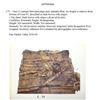 Image 3 : Antique Hawaiian Kapa Moe (mamaki fiber), Brown, Extremely Fragile (Appraisal Value $100)