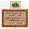 Image 1 : IL. Western BNC, 1913 I/C Stock Certificate, with ca.1900-20's WBNC Micro Printed Declaration of Ind