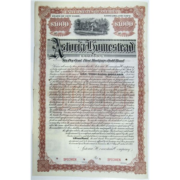 NY. Astoria Homestead Co., Long Island City, NY, 1893 Specimen Bond, Historic Bond Issue by the Stei