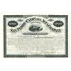Image 1 : New Mexico. San Pedro and Canon Del Agua Co.,1880 I/U bond.