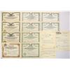 Image 1 : FL. Gulf Transit Co., 1896 to 1954 Issued and Cancelled stock Certificates.