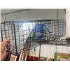 Image 1 : LIVE TRAP