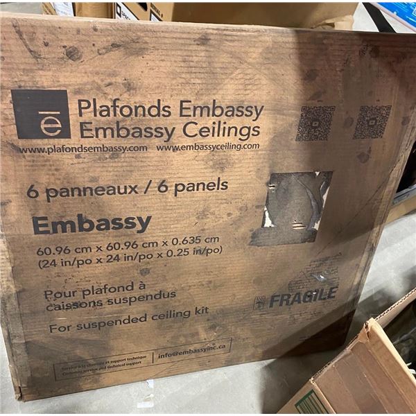 6 OF 24X24IN CEILING PANELS