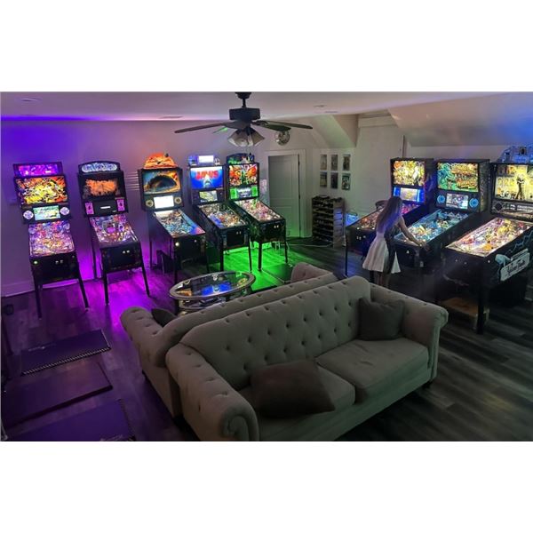 PRIVATE PINBALL PARTY NIGHT FOR 16