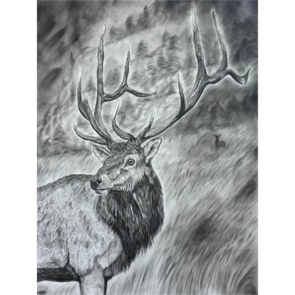 ELK PICTURE