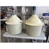 Image 1 : 2 CARBOYS