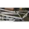 Image 2 : 2 NEW INIFNITY BOSS THREE DISC BIKE FRAMES WITH FORKS