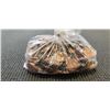Image 1 : BAG OF US AND CANADIAN COPPER PENNIES 1190 GRAMS