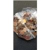 Image 2 : BAG OF US AND CANADIAN COPPER PENNIES 1190 GRAMS