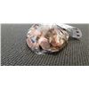 Image 2 : BAG OF US AND CANADIAN COPPER PENNIES 1180 GRAMS