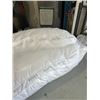 Image 4 : 2 ROOTS KINGSIZE PILLOWS. RETAIL $26.99 EACH