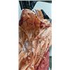Image 2 : INFLATABLE TREX DINOSAUR COSTUME FOR ADULTS