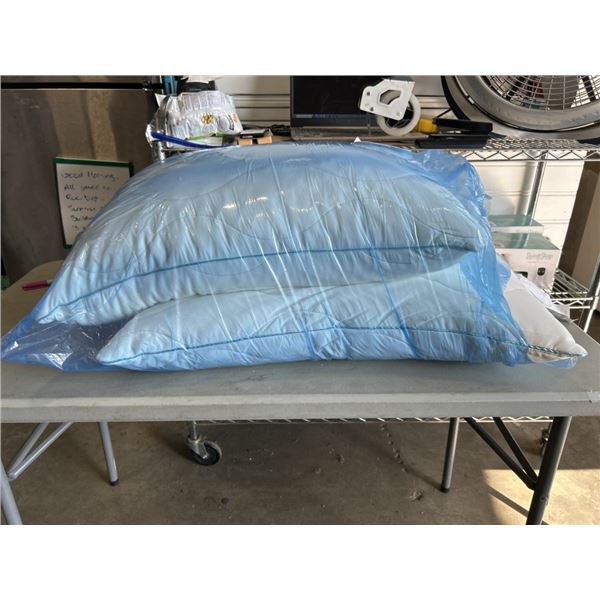 2 BELOW ZERO PILLOWS