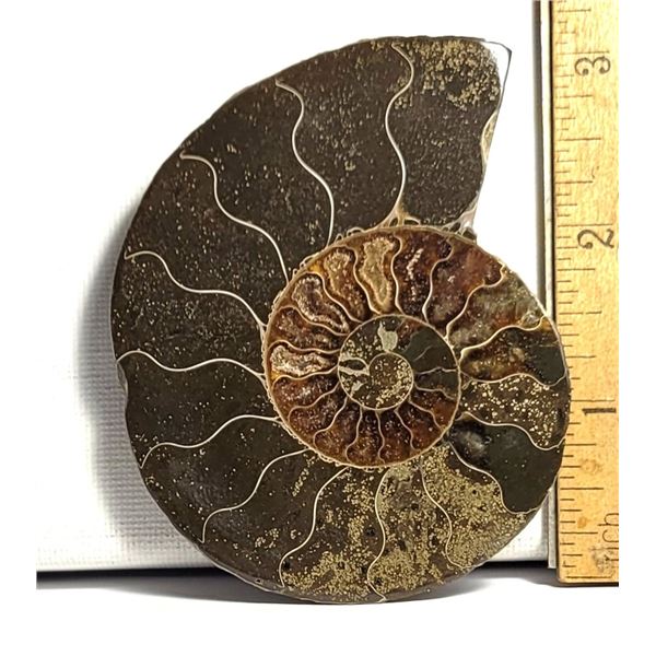 17)  NATURAL, 83.6 GRAM AMMONITE
