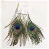 Image 1 : NEW PEACOCK FEATHER INSPIRED EARRINGS