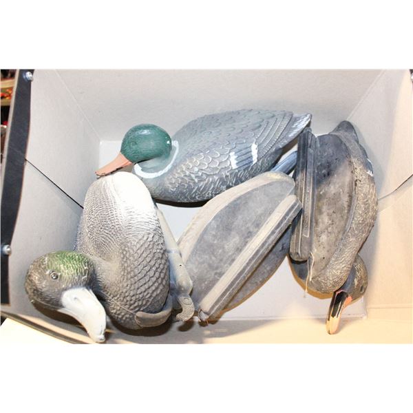 4 DECOYS MALLARD & BLUEBILL