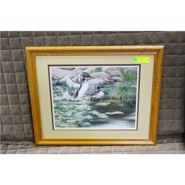 LOONS IN THE WATER PRINT FRAMED