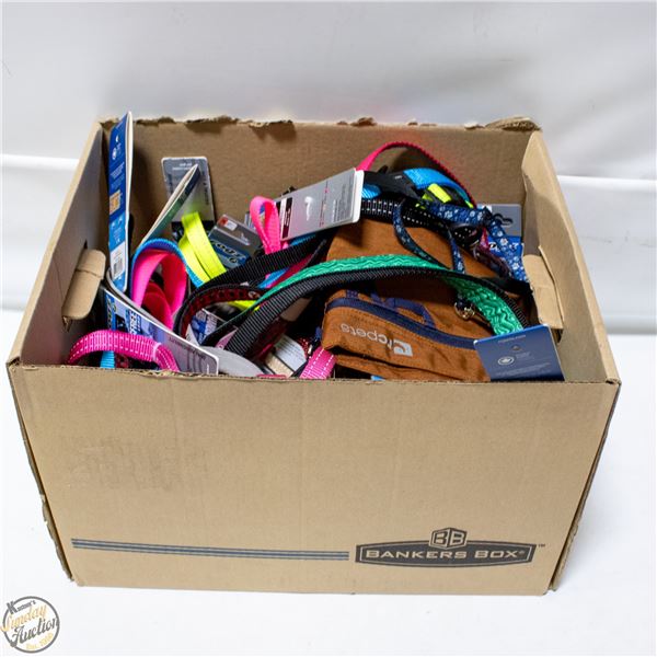 BAILIFF SEIZED: LARGE LOT OF COLLARS AND LEADS