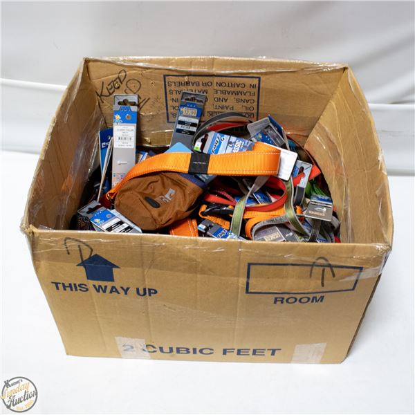 BAILIFF SEIZED: LARGE BOX OF COLLARS & LEADS