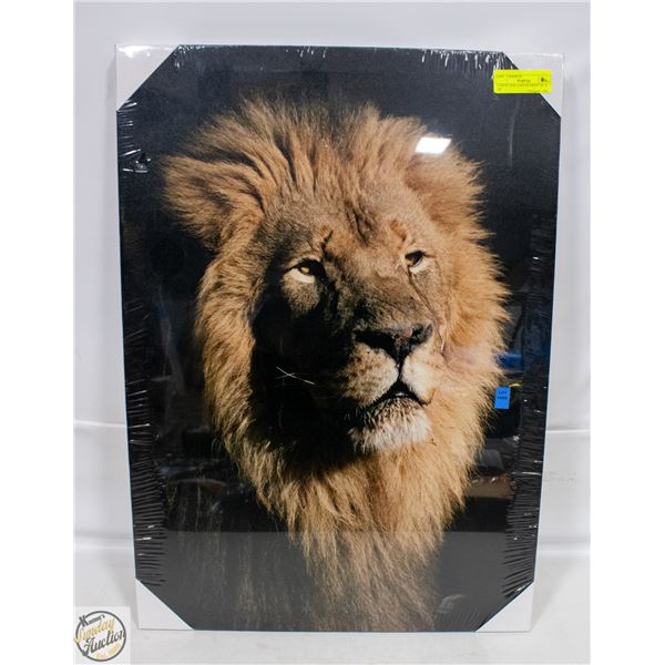 LARGE LION CANVAS PRINT 20" X 28"