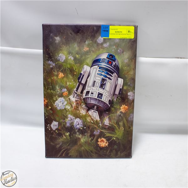 R2-D2 LAYING IN MEADOW PRINT 12"X8"