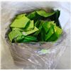 Image 1 : CASE OF GREEN SMALL BAGS