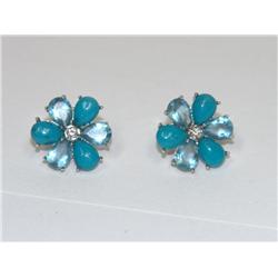 Turquoise Earrings