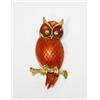 Image 1 : Nice Owl Pin