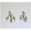 Image 1 : Sterling Silver Fancy Earrings