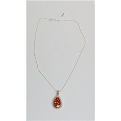 Sterling Silver Necklace W/ Huayruro seed Pendant