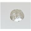 Sterling Silver Big Sand dollar Pendant
