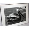 Image 1 : Print Of A Bird 13" x 19"