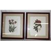 Image 5 : Set of Framed Prints Of Flowers 17" x 21"