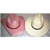 Lot Of 2 Cowboy Hats