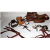 Image 3 : Misc. Horse Riding Accessories