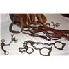 Image 6 : Misc. Horse Riding Accessories
