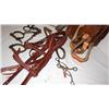 Image 7 : Misc. Horse Riding Accessories