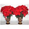 Image 1 : Lot of 2 Artificial Poinsetta Plants