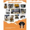 Image 1 : Online Auction
