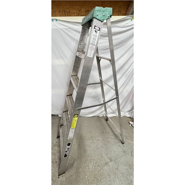 6 ft Ladder