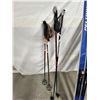 Image 6 : Skis and Poles