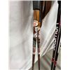 Image 7 : Skis and Poles
