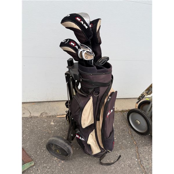 Golf clubs with Big and cart